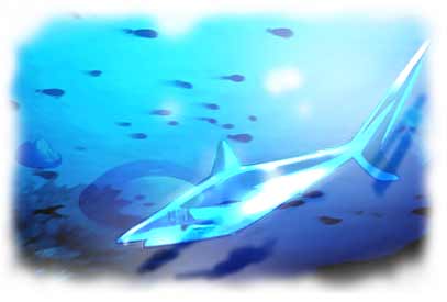 深海鮫イメージ画